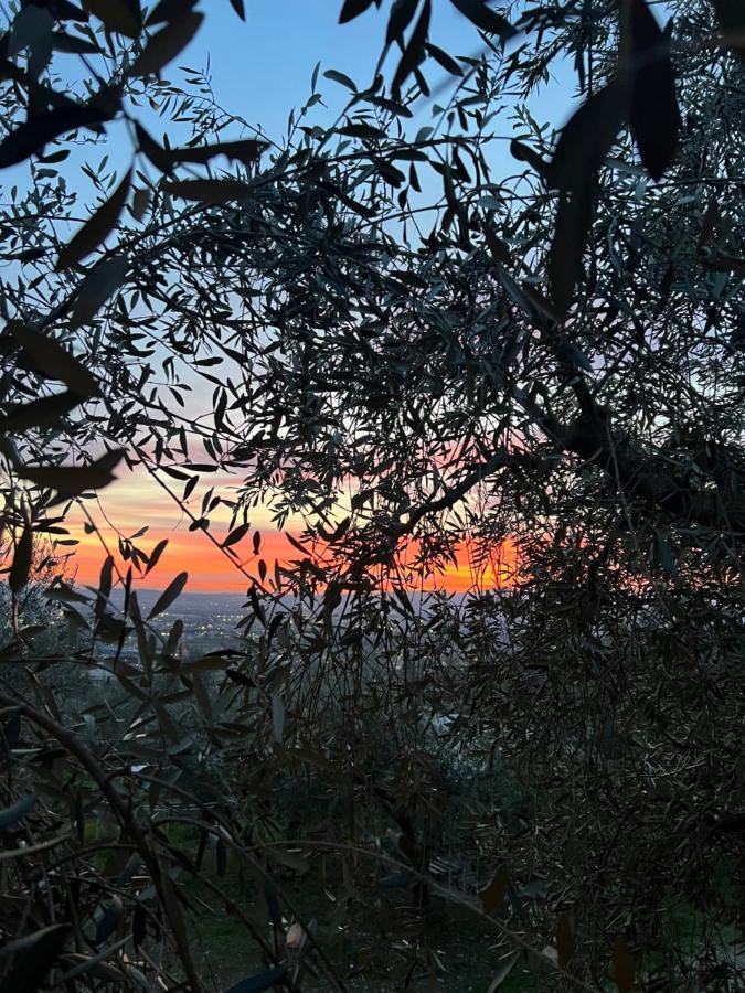 Poggio Alla Pieve Relais Calenzano Esterno foto