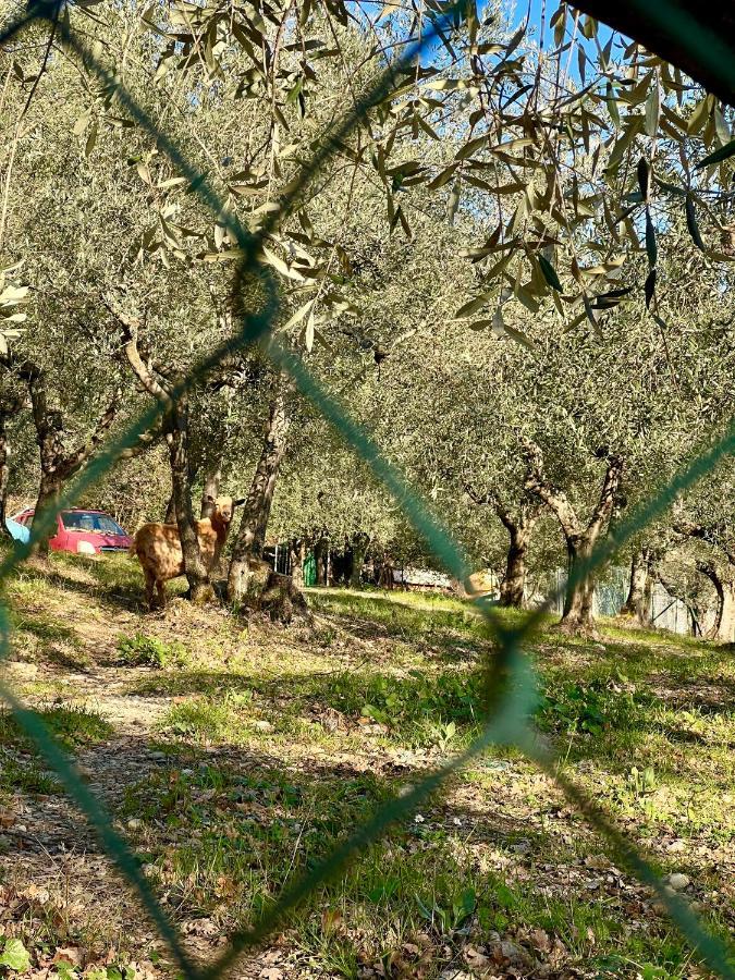 Poggio Alla Pieve Relais Calenzano Esterno foto