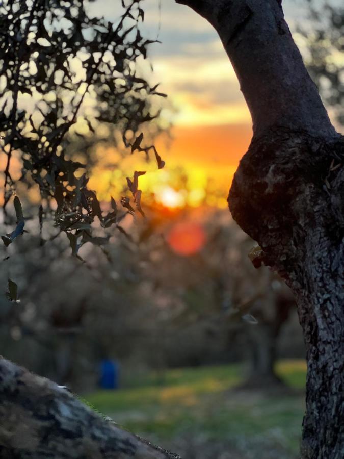 Poggio Alla Pieve Relais Calenzano Esterno foto